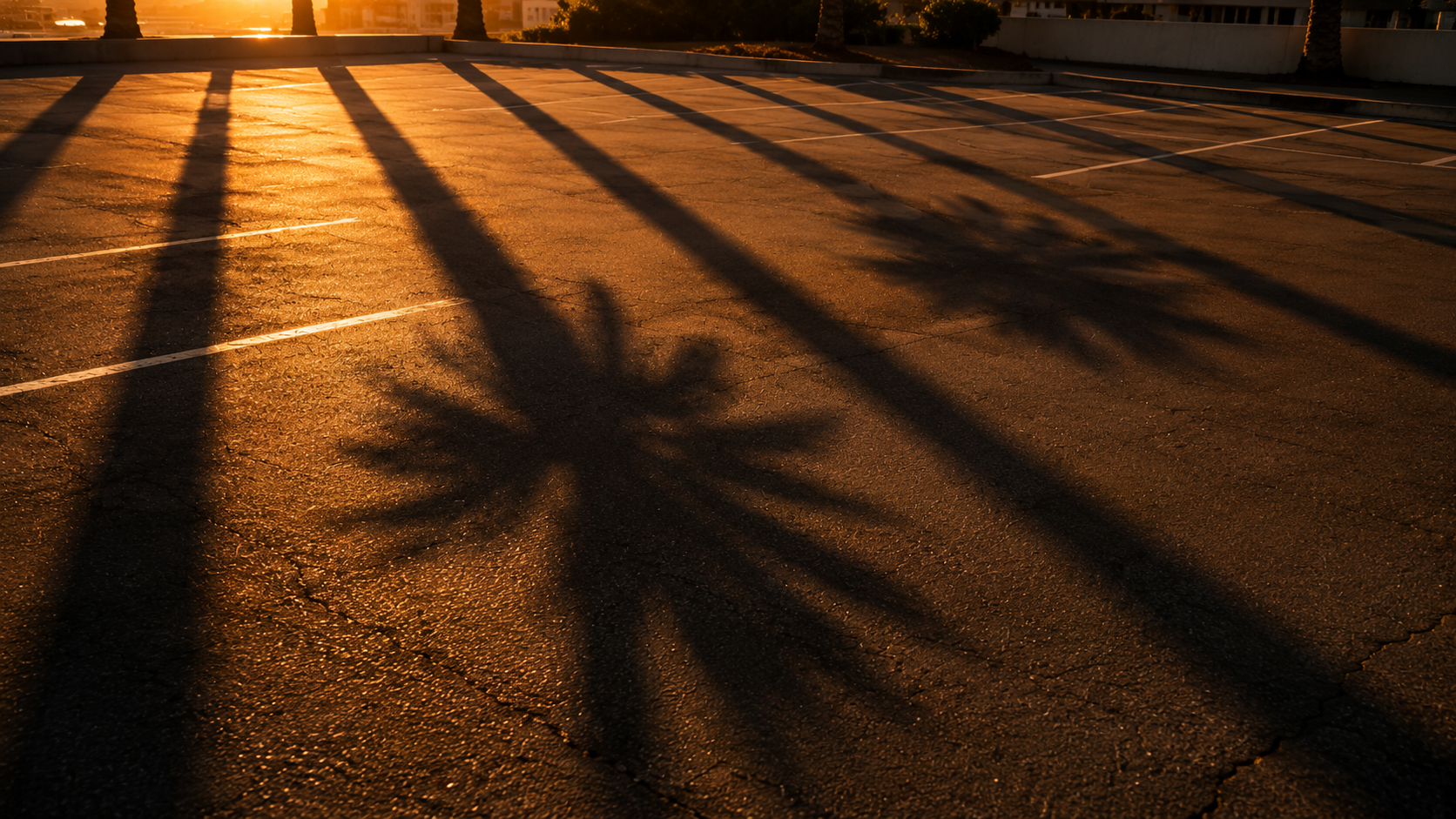 Long palm shadows across a Los Angeles car park